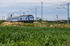 D29-544 Zamków - Borysławice