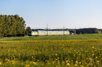D29-33 Kutno - Brodnica